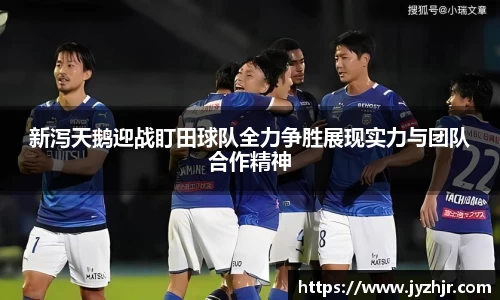 jn江南·体育登录入口